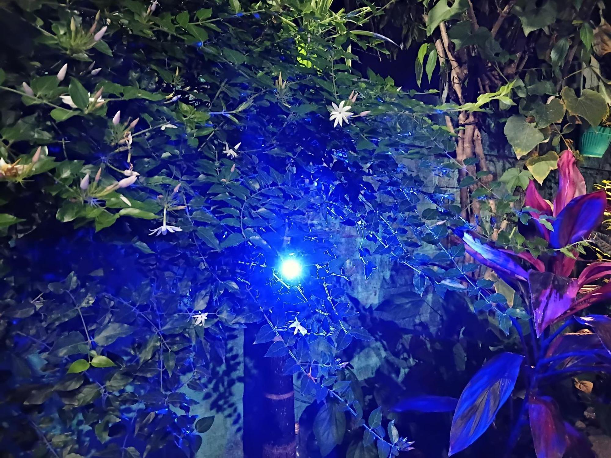 Green View Homestay Siliguri Exteriér fotografie